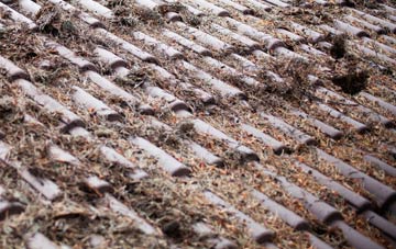 Bickley roof cleaning companies