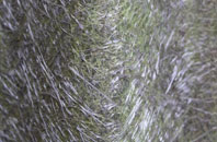 Bickley fibreglass roof work